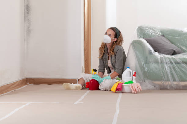 Reliable Black Mold Remediation contractor in Wenonah, NJ by 24 Hour Mold Removal